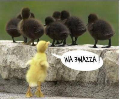 haha